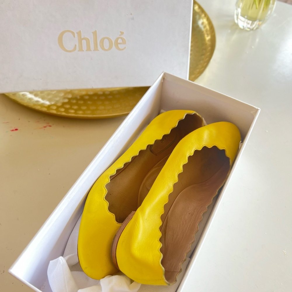 ☀️Chloe Lauren Ballerina Flats ☀️